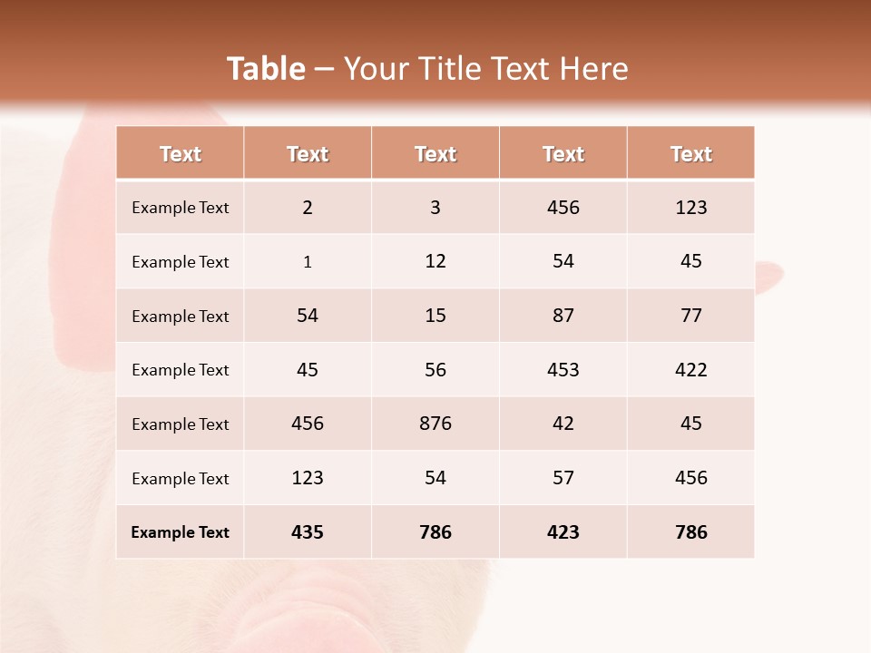 Animals Studio Mammal PowerPoint Template