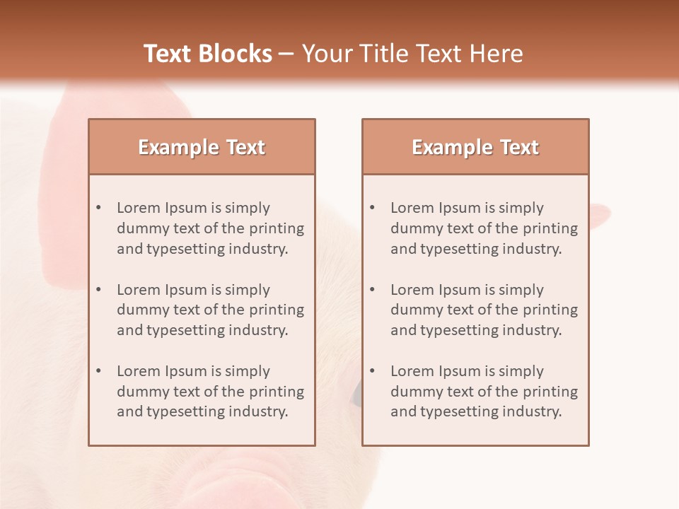 Animals Studio Mammal PowerPoint Template