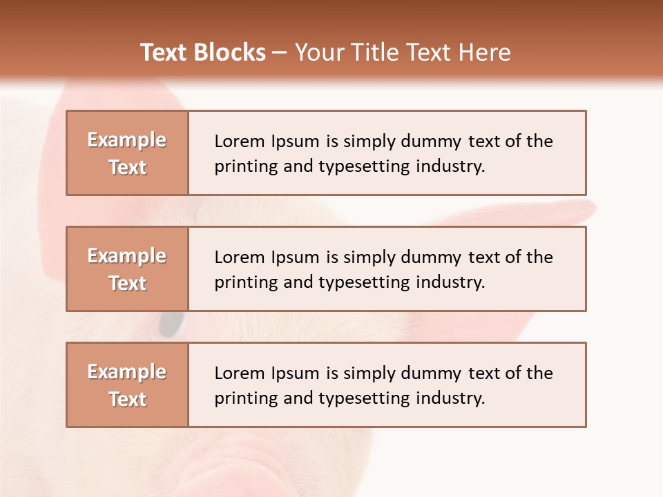 Animals Studio Mammal PowerPoint Template