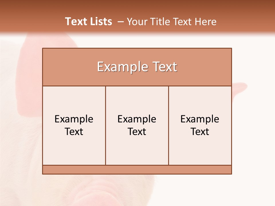 Animals Studio Mammal PowerPoint Template