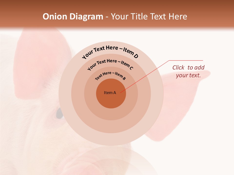 Animals Studio Mammal PowerPoint Template