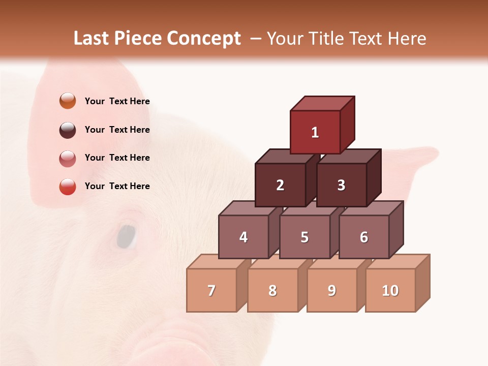 Animals Studio Mammal PowerPoint Template