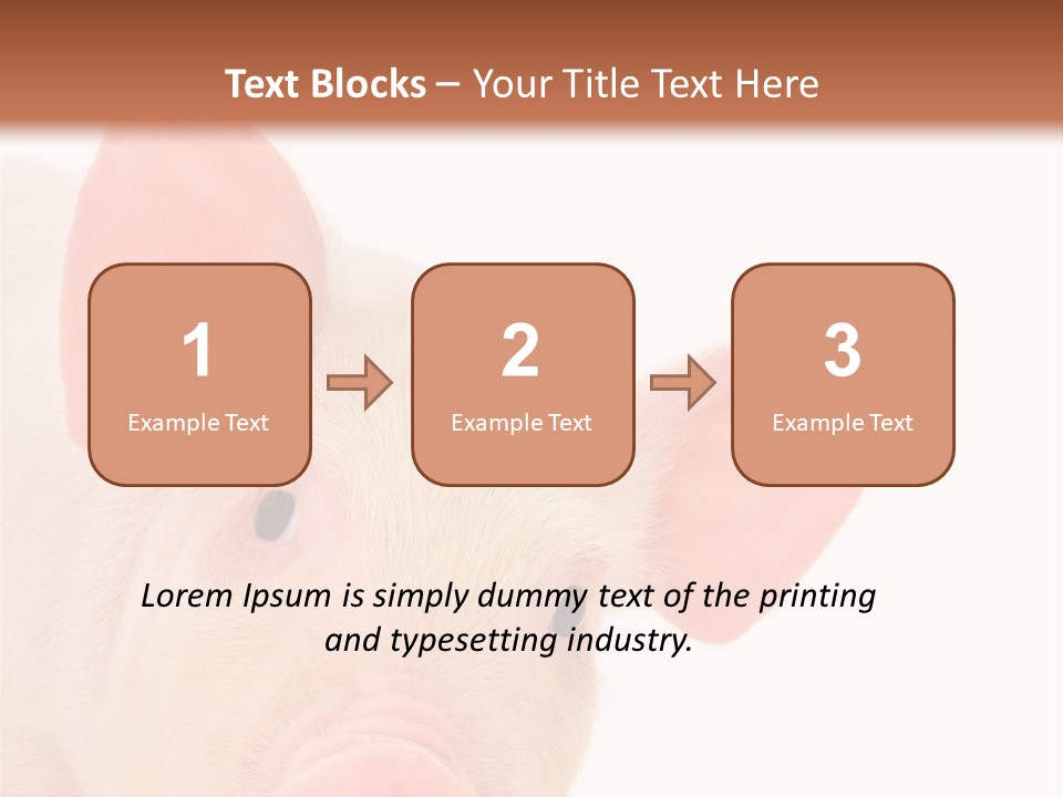 Animals Studio Mammal PowerPoint Template