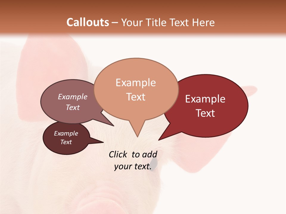 Animals Studio Mammal PowerPoint Template