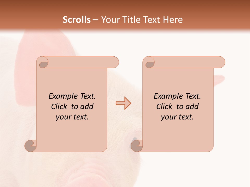 Animals Studio Mammal PowerPoint Template