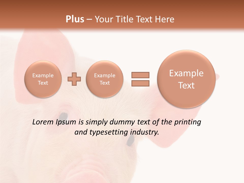Animals Studio Mammal PowerPoint Template