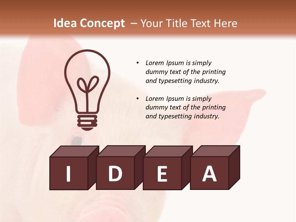 Animals Studio Mammal PowerPoint Template