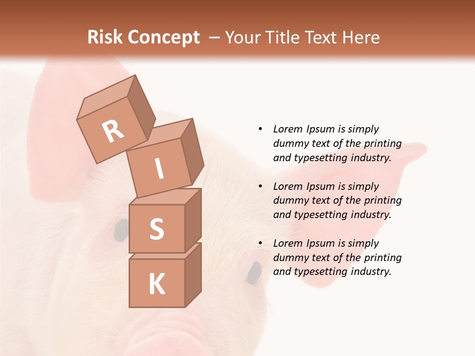 Animals Studio Mammal PowerPoint Template