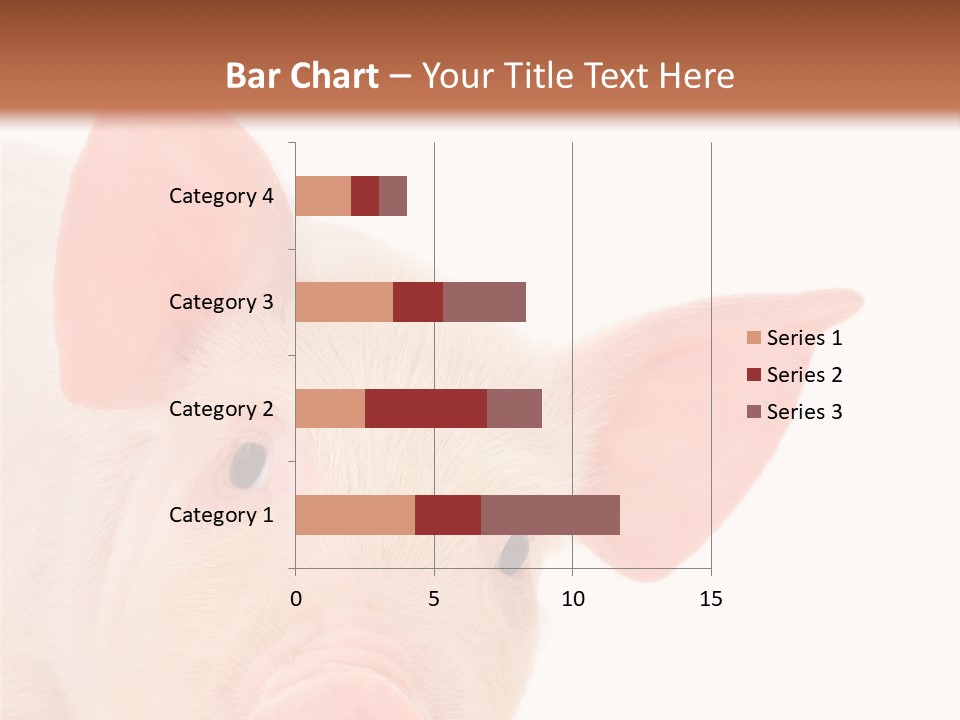 Animals Studio Mammal PowerPoint Template