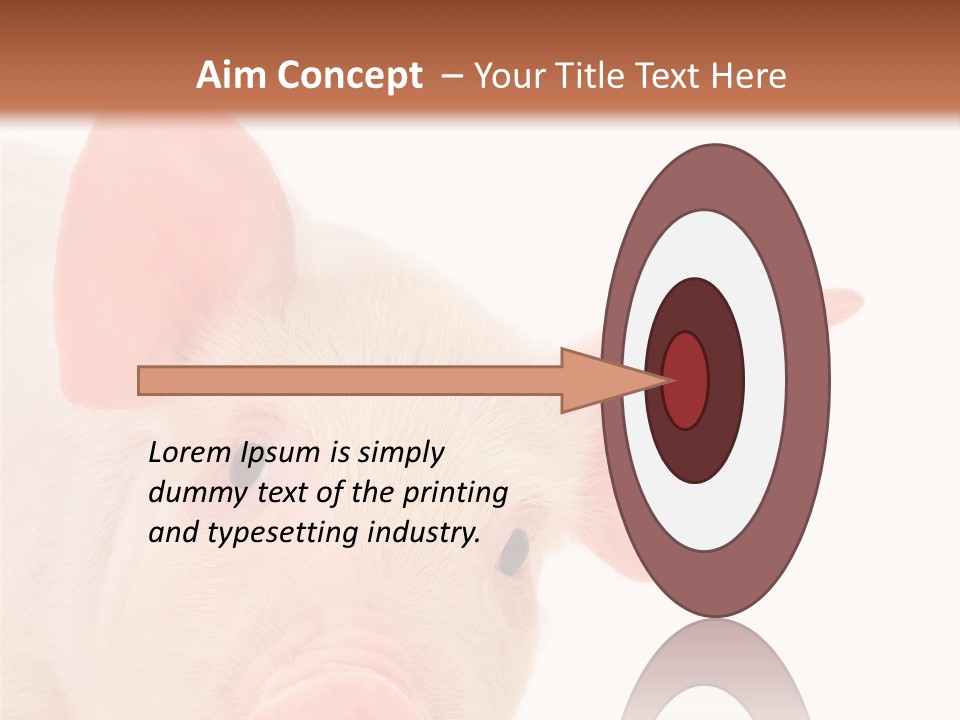 Animals Studio Mammal PowerPoint Template