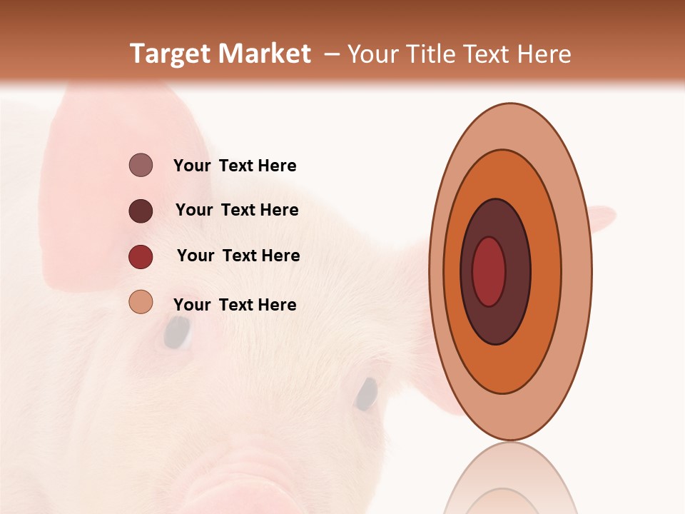 Animals Studio Mammal PowerPoint Template