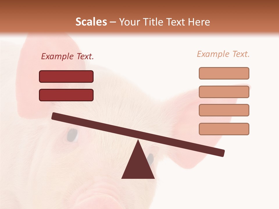 Animals Studio Mammal PowerPoint Template