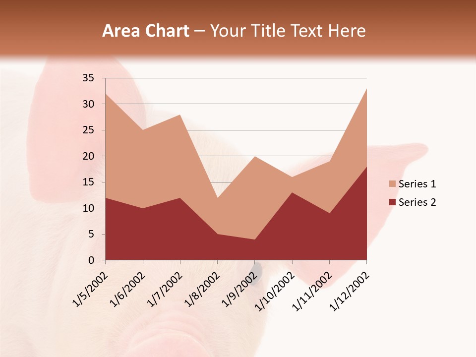 Animals Studio Mammal PowerPoint Template