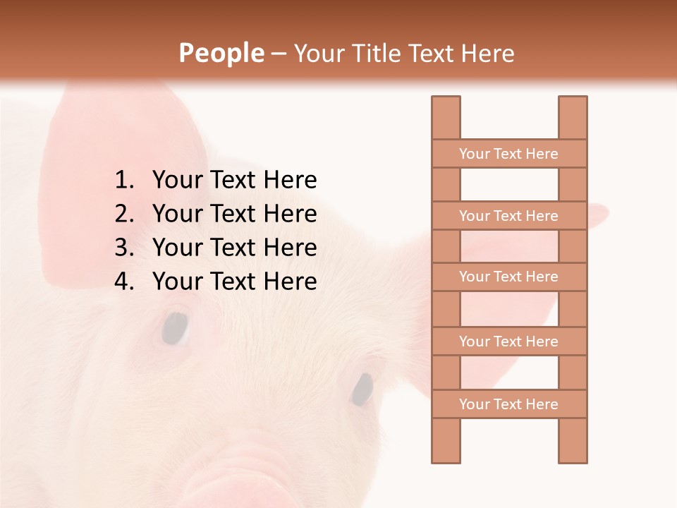 Animals Studio Mammal PowerPoint Template