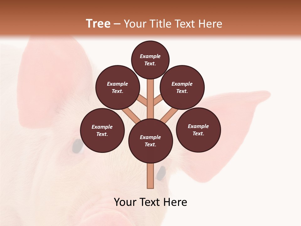 Animals Studio Mammal PowerPoint Template