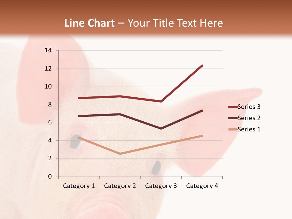 Animals Studio Mammal PowerPoint Template
