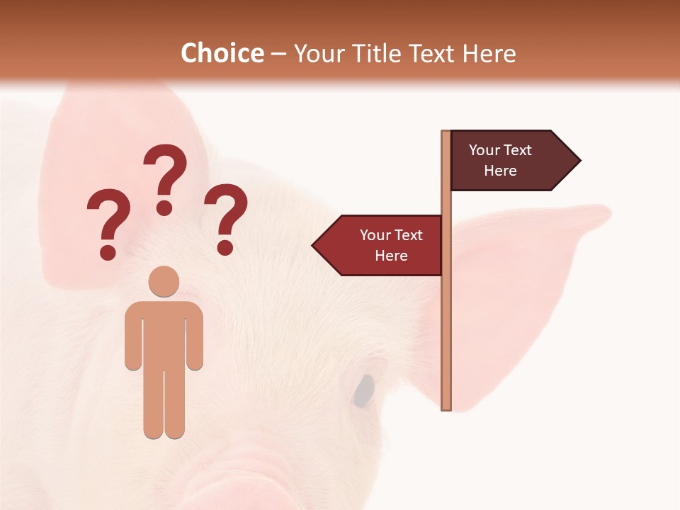 Animals Studio Mammal PowerPoint Template