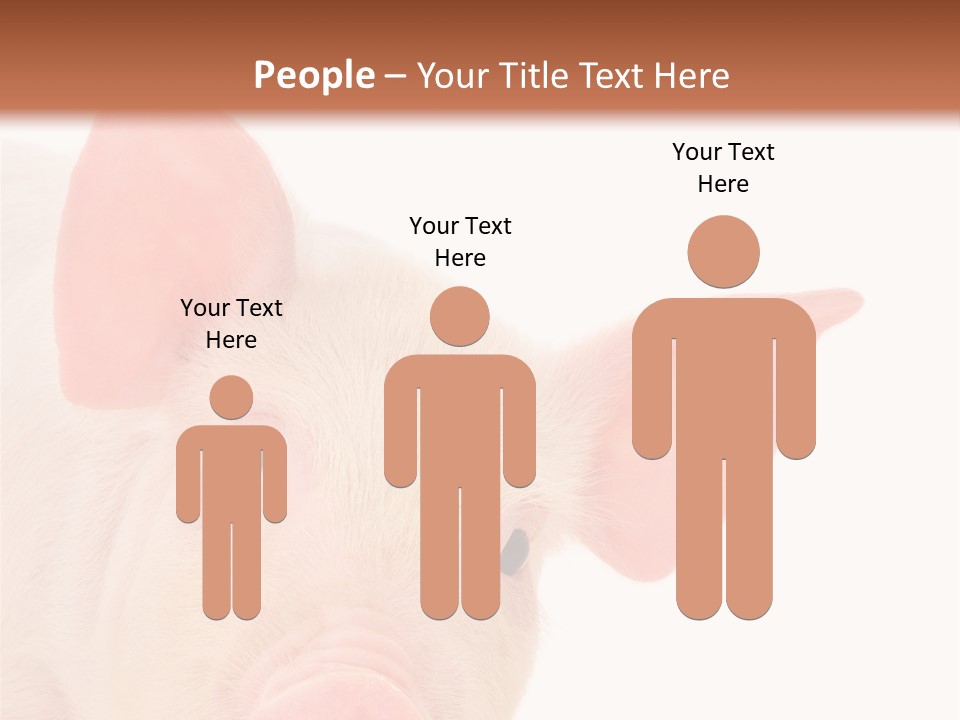 Animals Studio Mammal PowerPoint Template