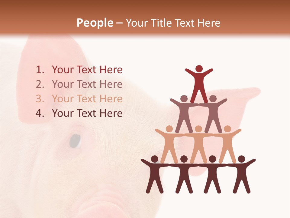 Animals Studio Mammal PowerPoint Template