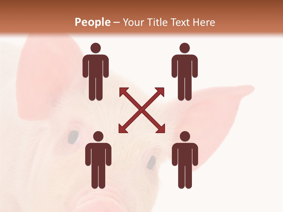 Animals Studio Mammal PowerPoint Template