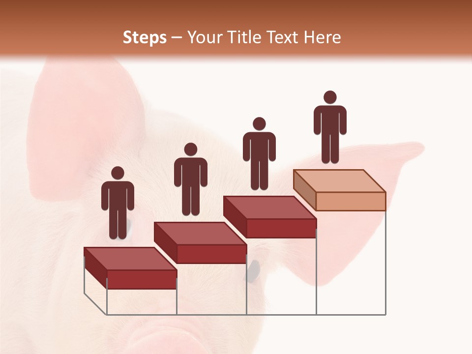 Animals Studio Mammal PowerPoint Template