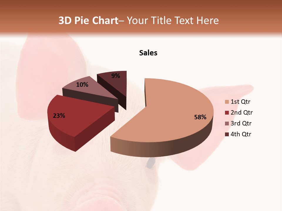 Animals Studio Mammal PowerPoint Template