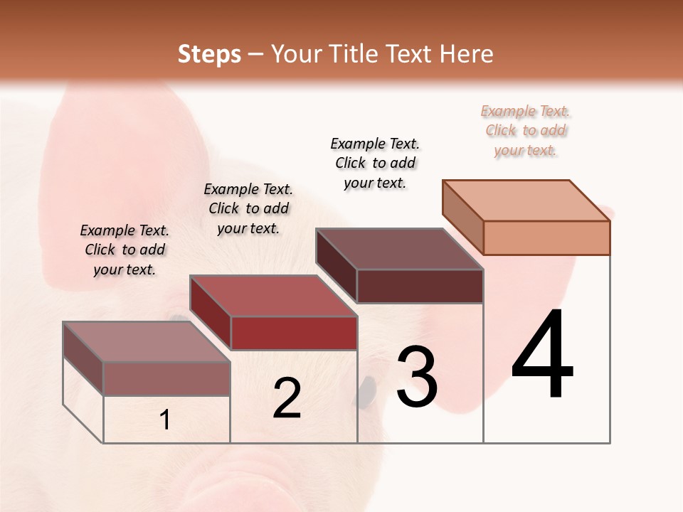 Animals Studio Mammal PowerPoint Template