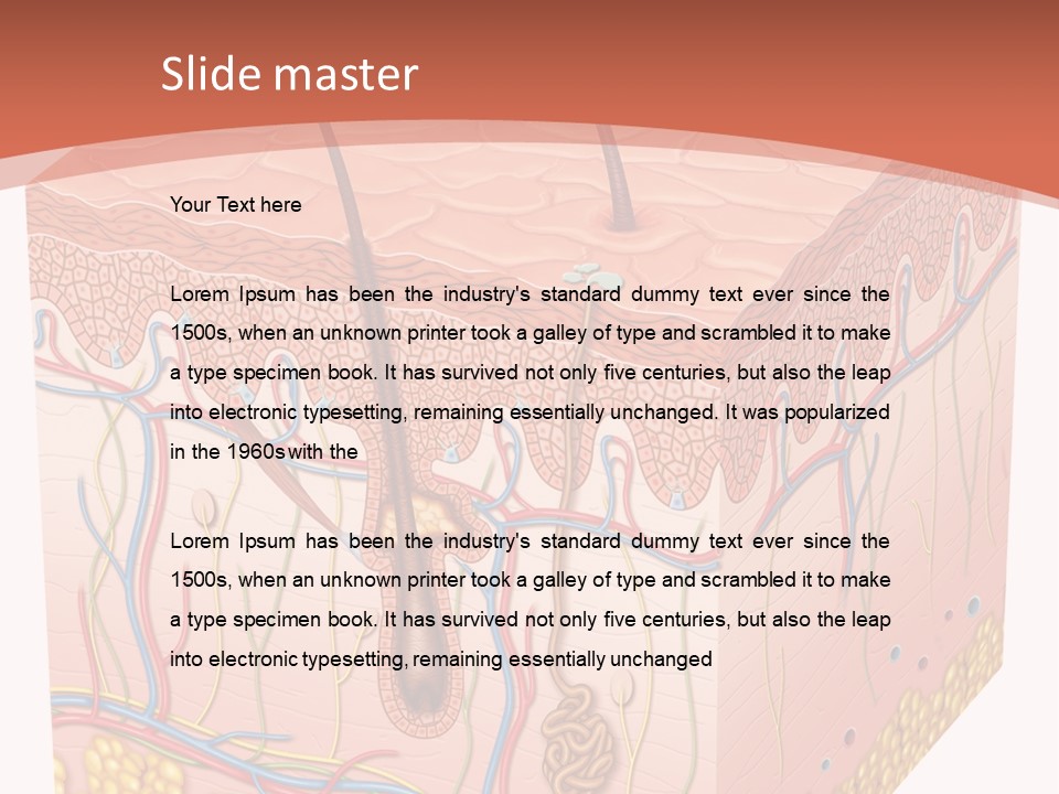 Skin Human Cells PowerPoint Template