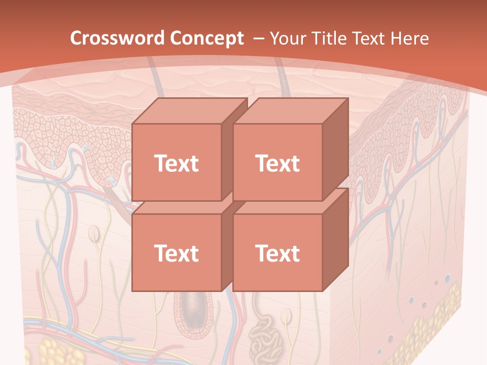 Skin Human Cells PowerPoint Template