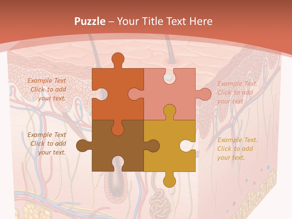 Skin Human Cells PowerPoint Template
