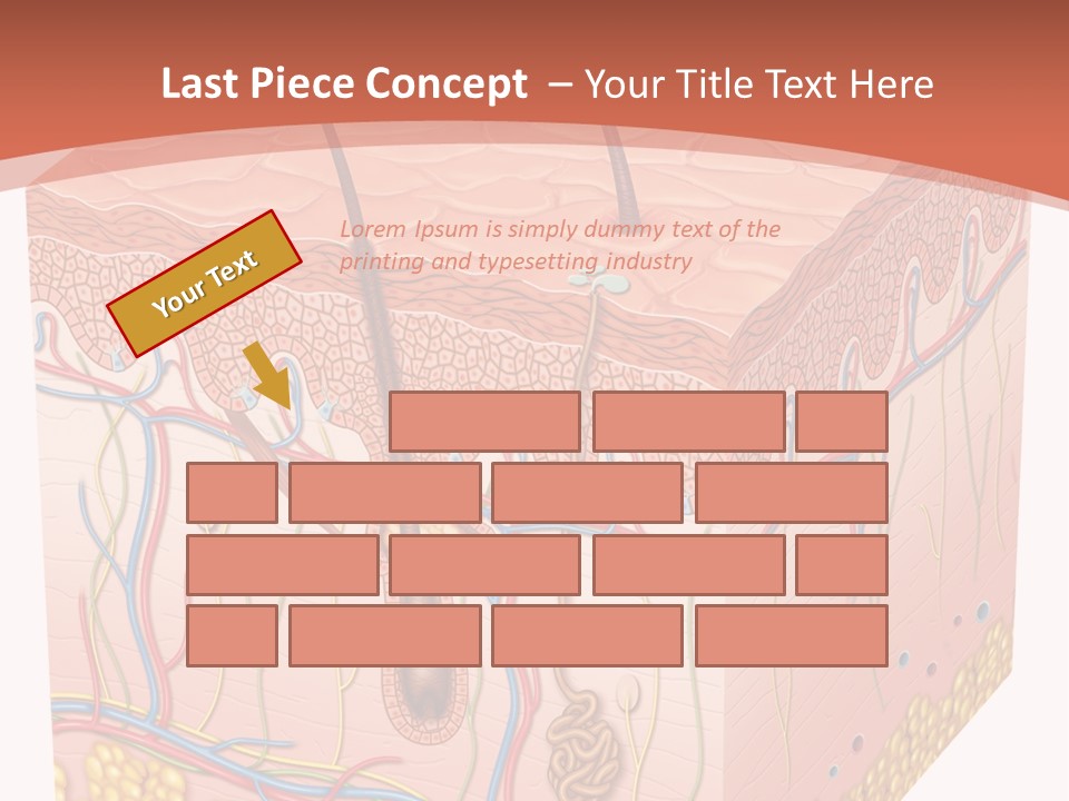 Skin Human Cells PowerPoint Template