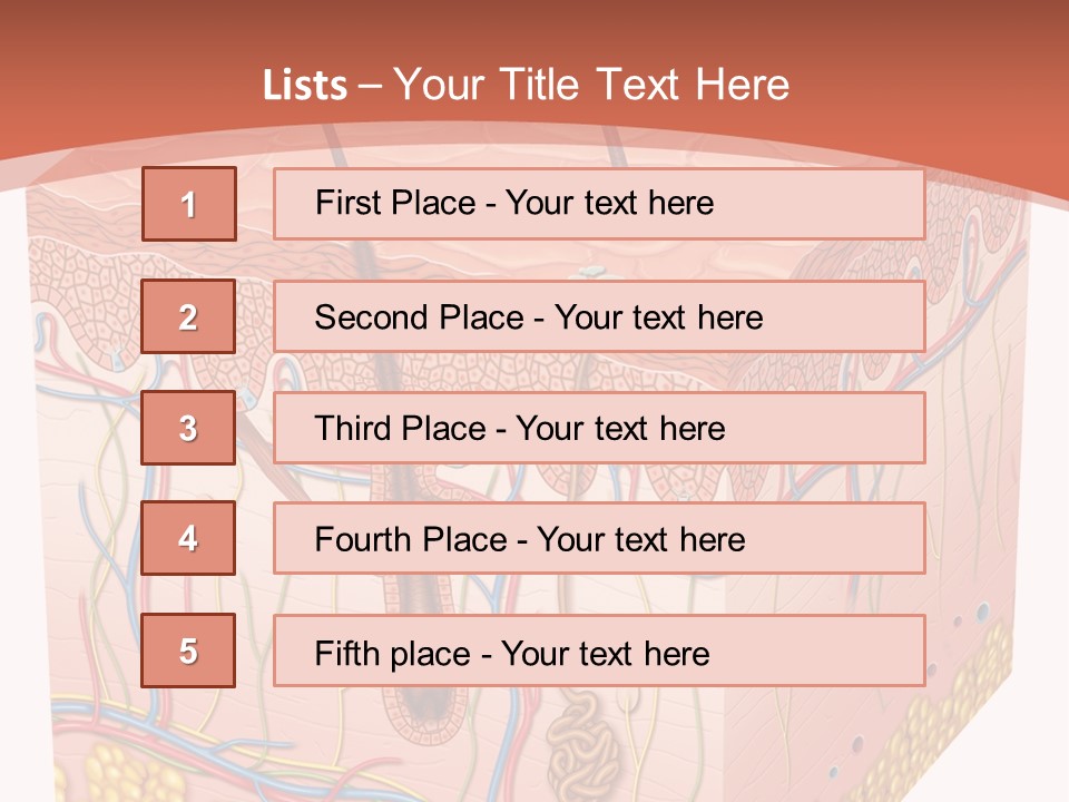 Skin Human Cells PowerPoint Template