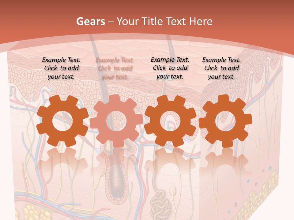Skin Human Cells PowerPoint Template