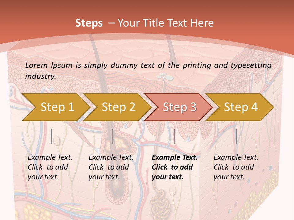 Skin Human Cells PowerPoint Template