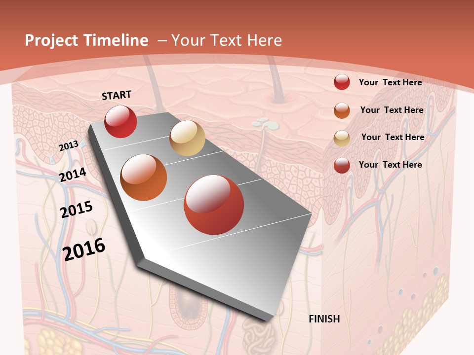 Skin Human Cells PowerPoint Template