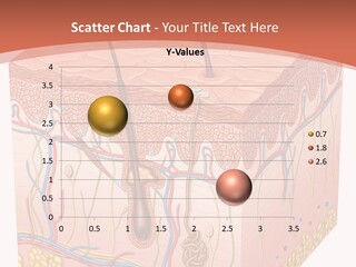 Skin Human Cells PowerPoint Template