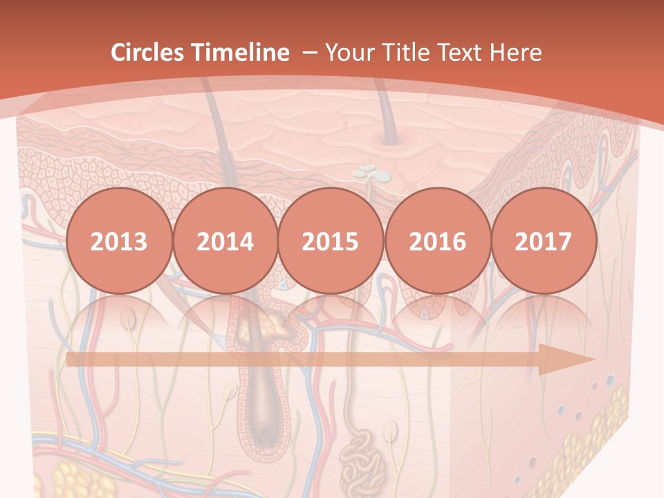 Skin Human Cells PowerPoint Template