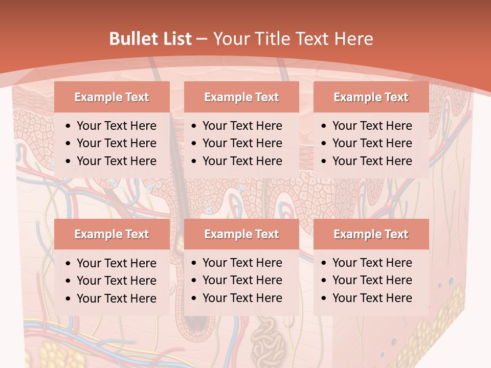 Skin Human Cells PowerPoint Template