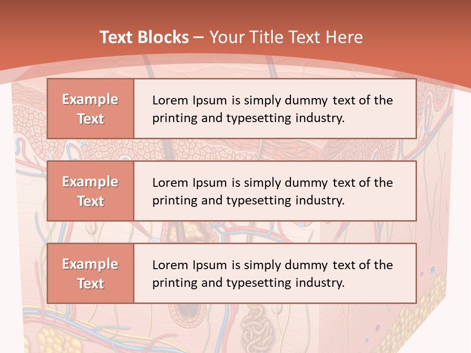 Skin Human Cells PowerPoint Template