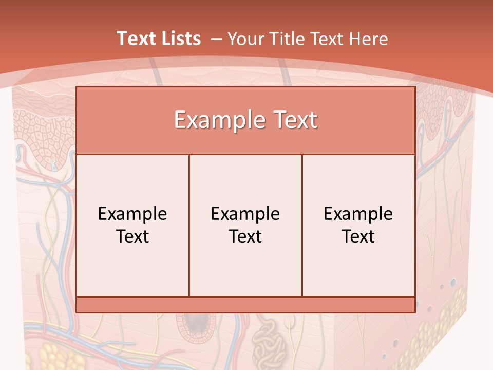 Skin Human Cells PowerPoint Template