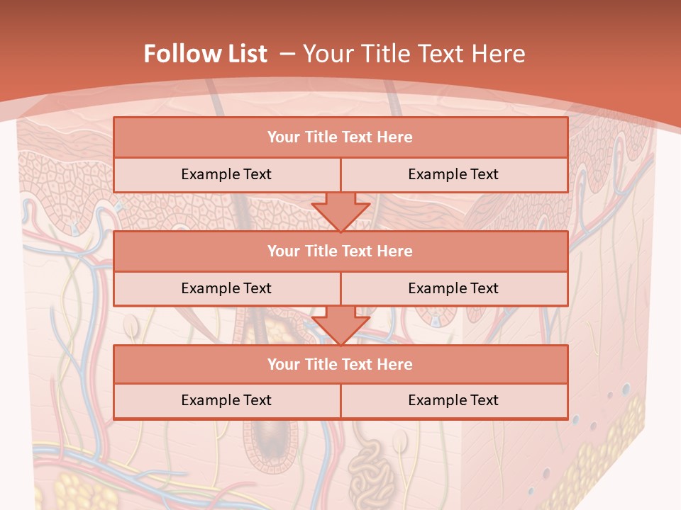 Skin Human Cells PowerPoint Template