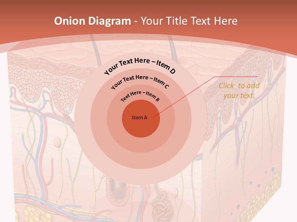 Skin Human Cells PowerPoint Template