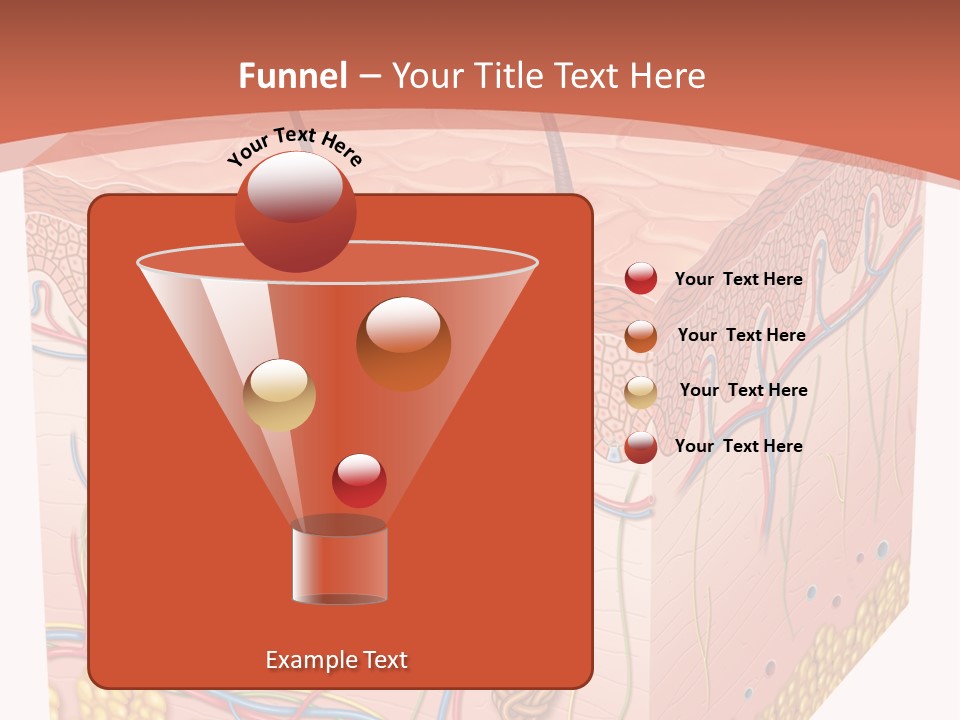 Skin Human Cells PowerPoint Template