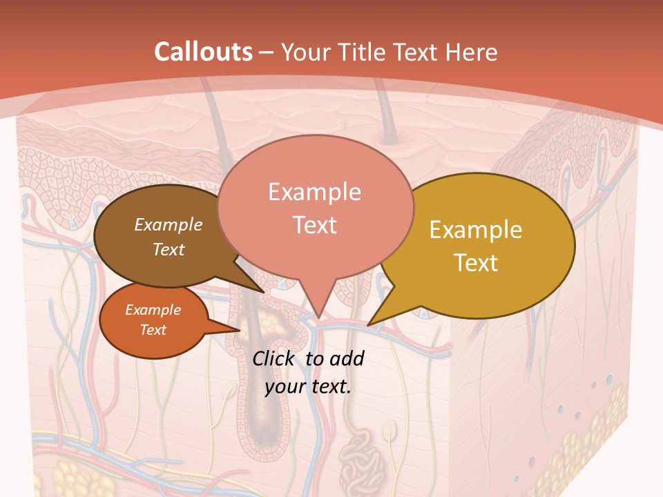 Skin Human Cells PowerPoint Template
