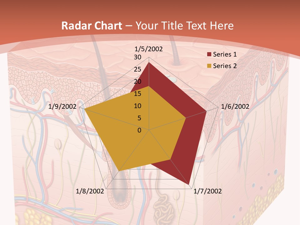 Skin Human Cells PowerPoint Template
