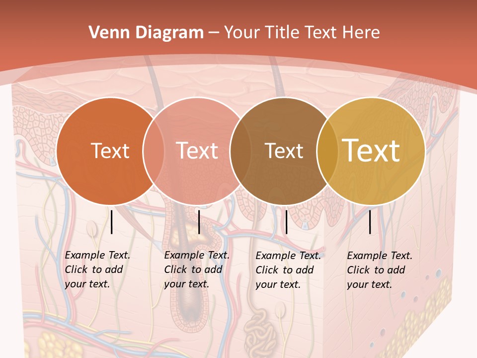 Skin Human Cells PowerPoint Template