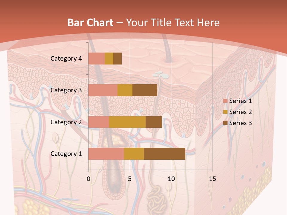 Skin Human Cells PowerPoint Template
