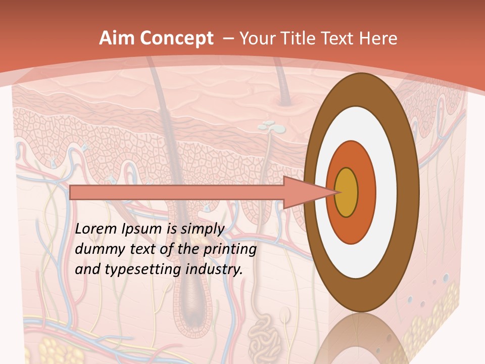Skin Human Cells PowerPoint Template