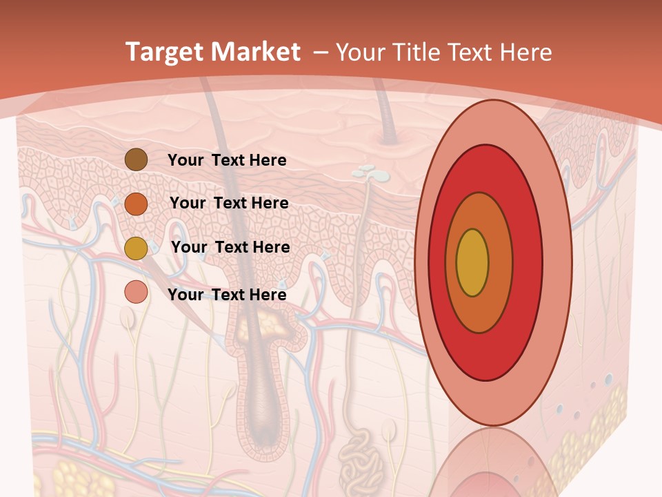 Skin Human Cells PowerPoint Template