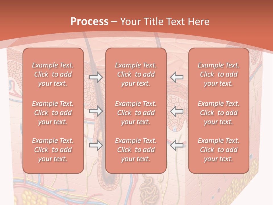 Skin Human Cells PowerPoint Template